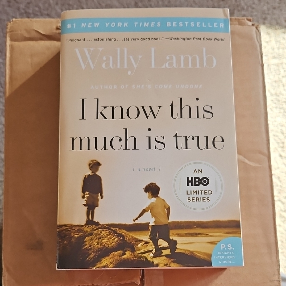I Know This Much Is True by Wally Lamb